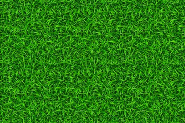  The Wonders Of Outdoor Grass Carpet