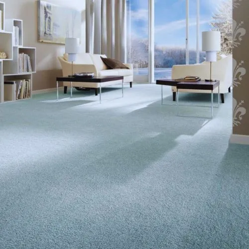Grey Carpet Floor